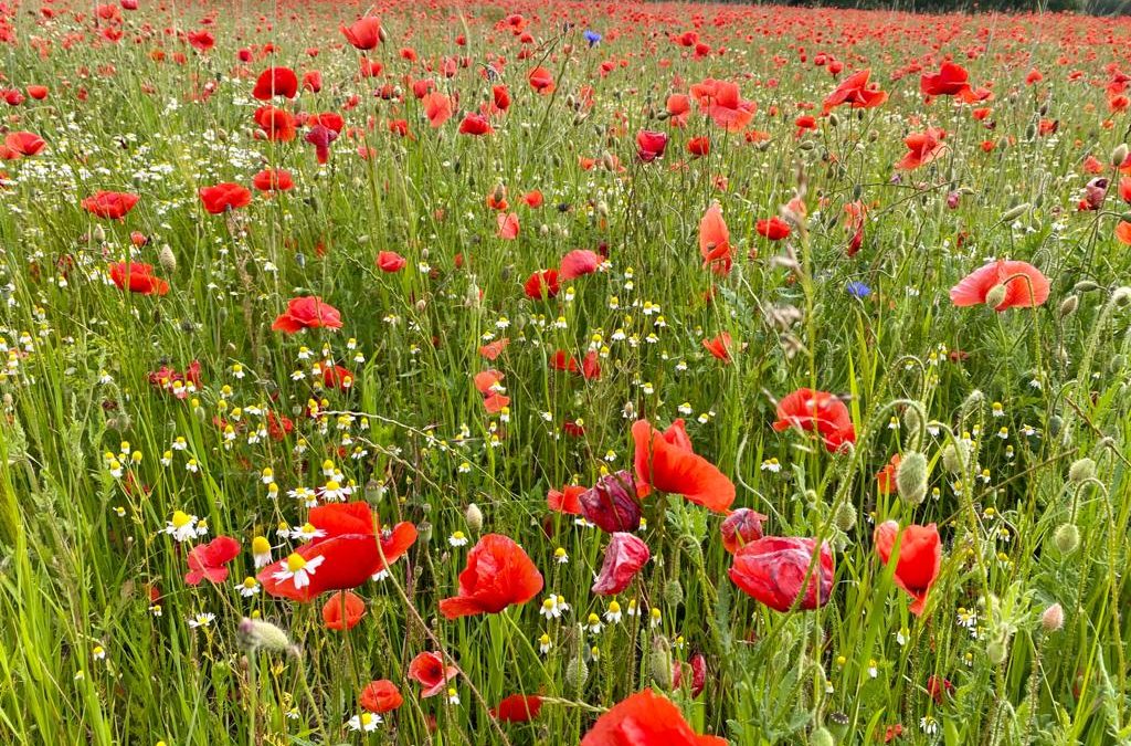 Mut stärken für die Zukunft
