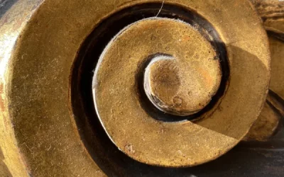 Selbstfürsorge, Selbstführung & Self Empowerment