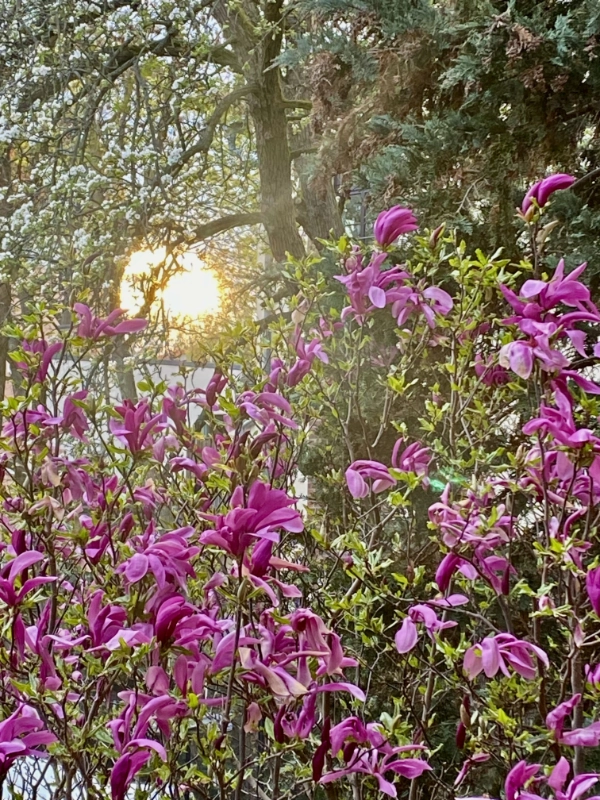 Ines-Wegner-2026-KreativLab-003