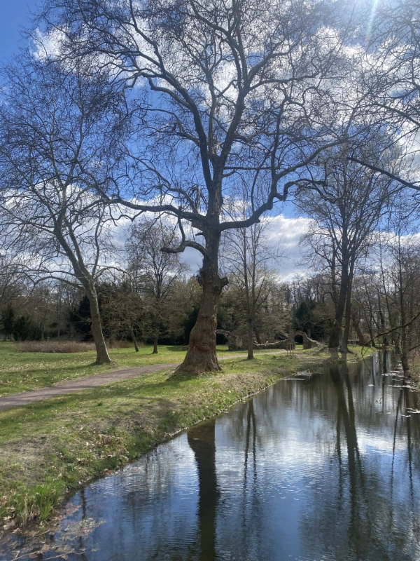 Ines-Wegner-2026-KreativLab-004