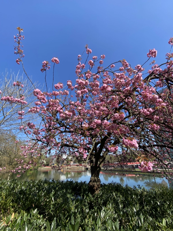 Ines-Wegner-2026-KreativLab-005